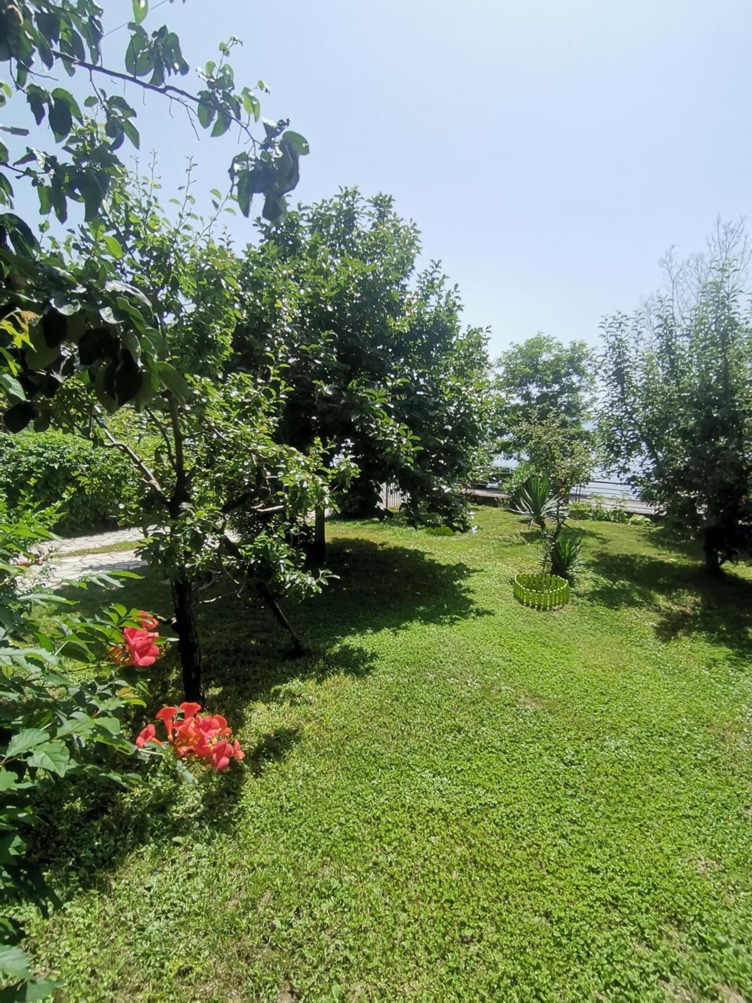 Guesthouse Zimovski Pestani Exterior photo