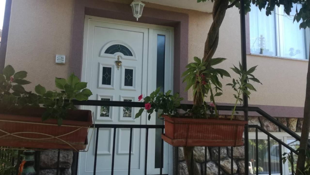 Guesthouse Zimovski Pestani Exterior photo