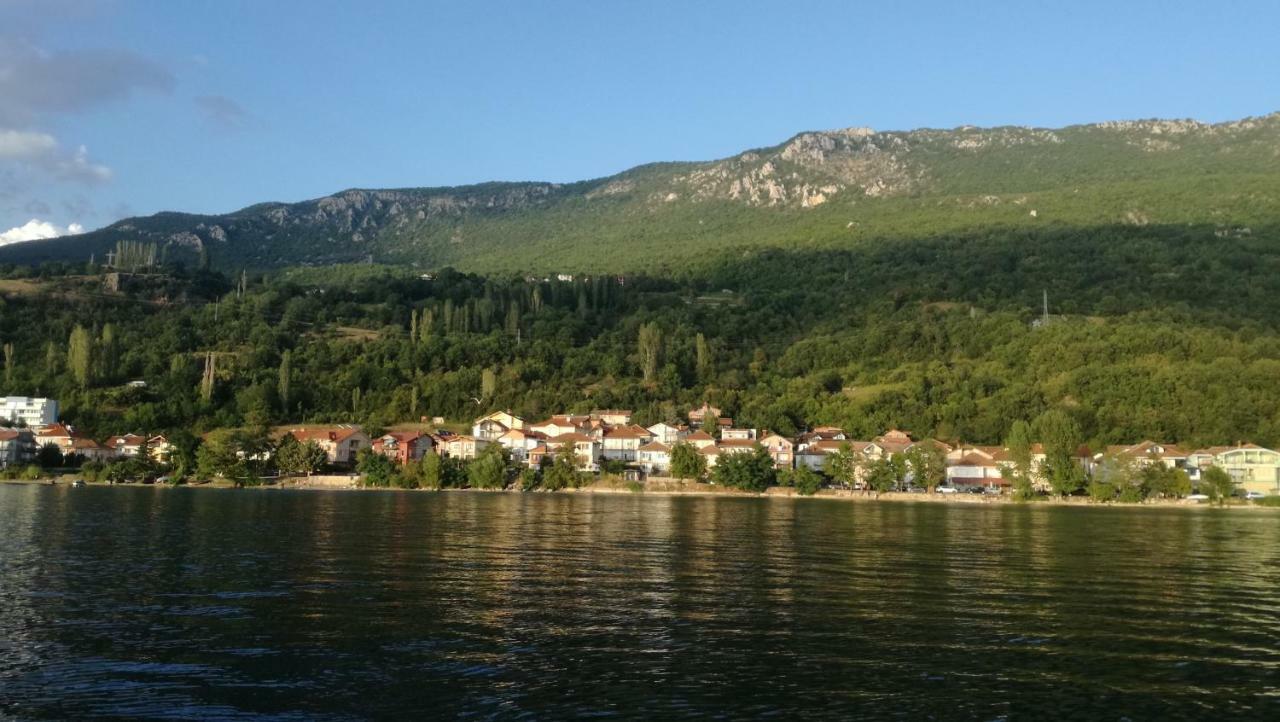 Guesthouse Zimovski Pestani Exterior photo